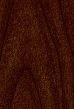 DS-0403S+81401/11 L4