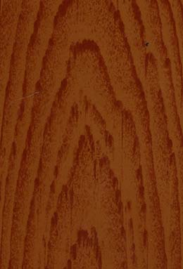 DS-0442S+82531/01 L4