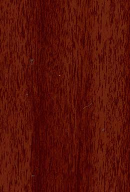 DS-0706S+81704/01 L4