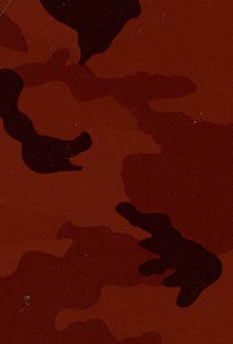 DS-0706S+86010/56 L4