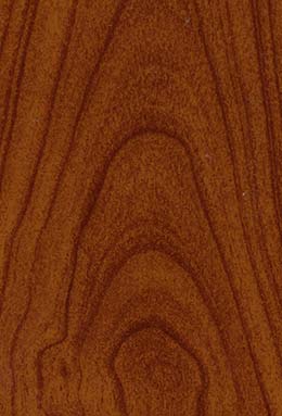 DS-0721S+81415/02 L4