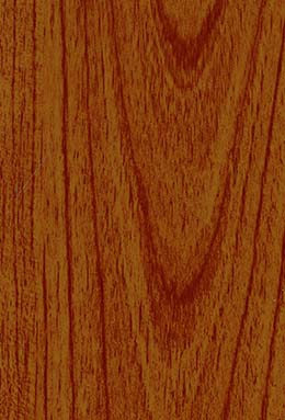 DS-0721S+81430/11 L4