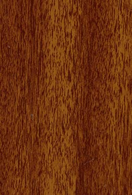 DS-0721S+81704/01 L4