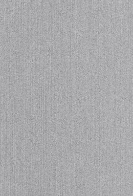 MIRROR-113S25+86053/01 L4