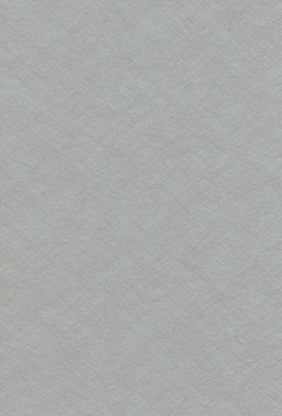 MIRRORL-183S+6029/07