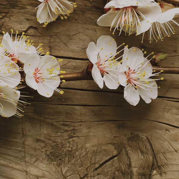 wood effect, wood effect on aluminium