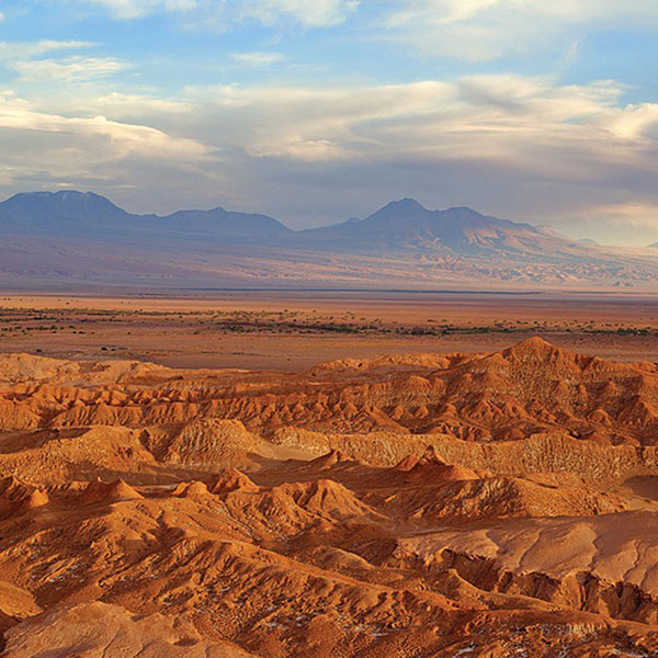 wood grain, faux grain, wood grain atacama