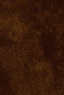 DS-0421S+6048/02