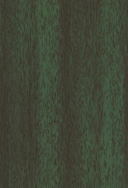 DS-0447S+1704/01