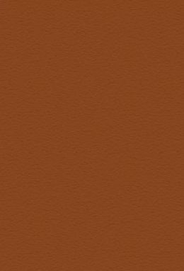 DS-0725IS+