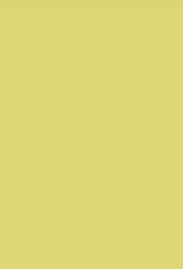 DS 405