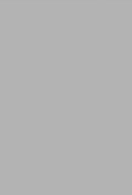 DS 431