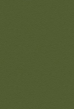 DS 714