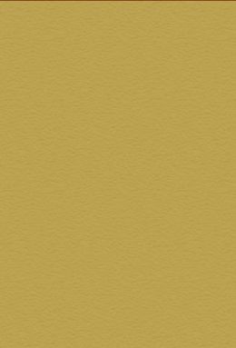 DS 726