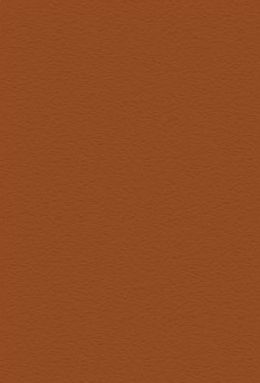DS 729