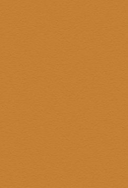 DS 738