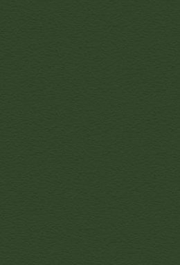 DS 747