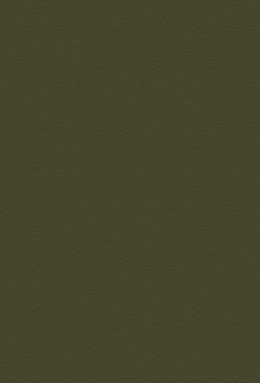 DS 770