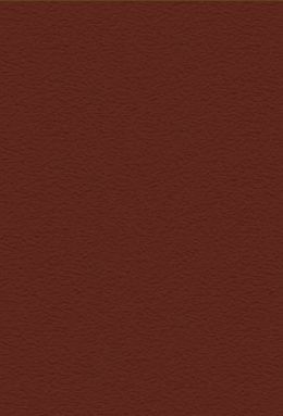 DS 794