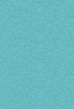 ICETOUCH-006+