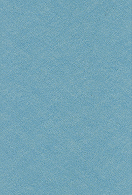 MIRROR-097S+6029/02
