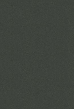 PICASSO-005+